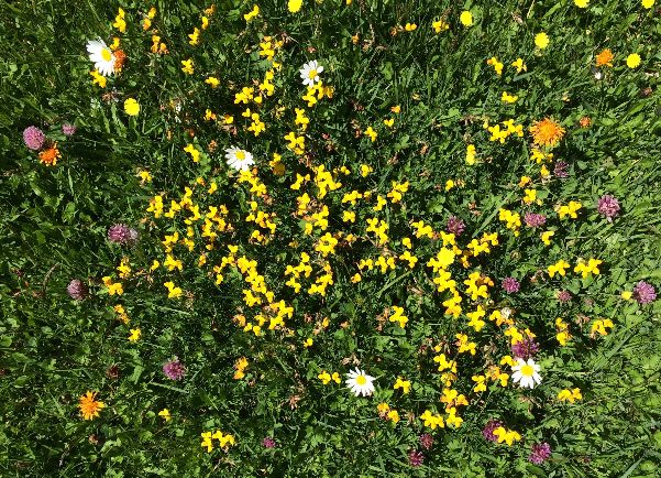 Printemps